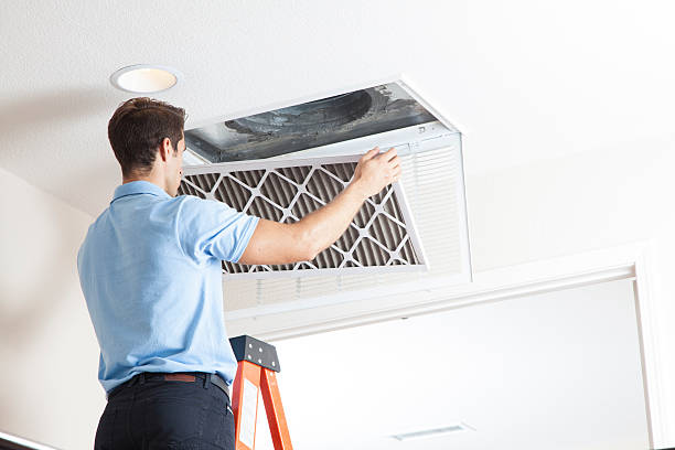 Best HVAC system installation  in Golden Shores, AZ